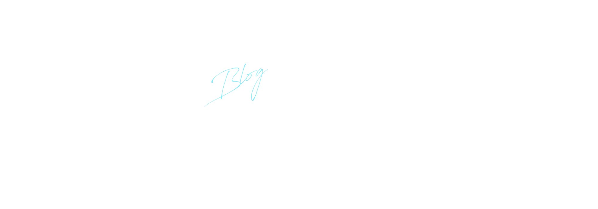 ブログ
